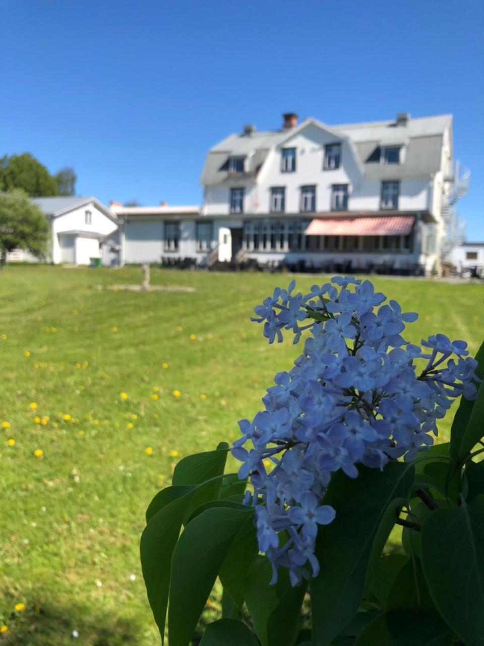 Hotell Restaurang Naemforsen Näsåker Exteriér fotografie
